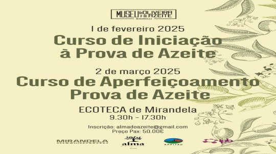 Cursos de Azeite 2025 | MOA