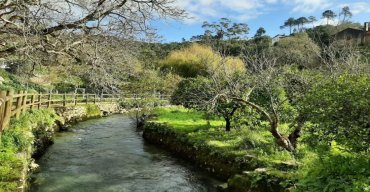 Pelos Trilhos da Nascente do Rio Lis | Leiria