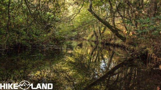 Pelos Mágicos Rios e Bosques do Vouga | Oliveira de Frades