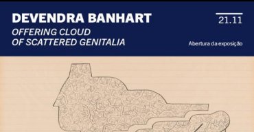 Devendra Banhart: Offering Cloud of Scattered Genitalia